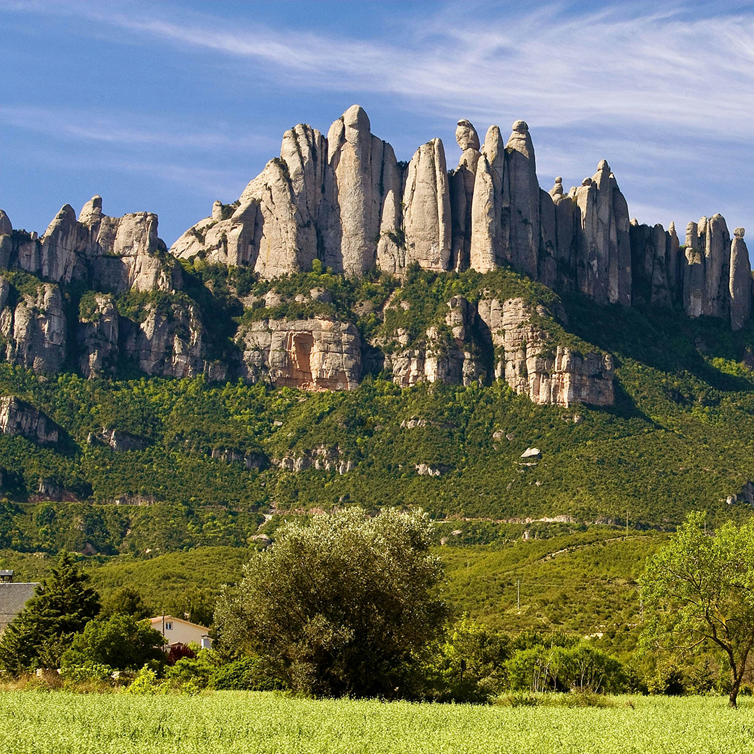 montserrat